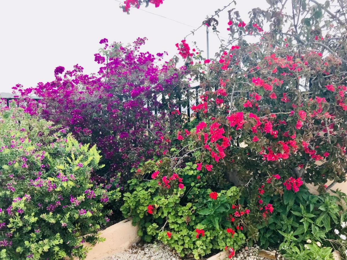 مبيت وإفطار El Salado Casa Fletch المظهر الخارجي الصورة