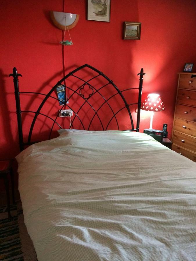 مبيت وإفطار El Salado Casa Fletch المظهر الخارجي الصورة